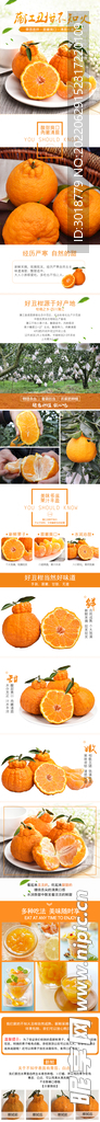 橙子
