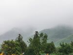 雨雾山林
