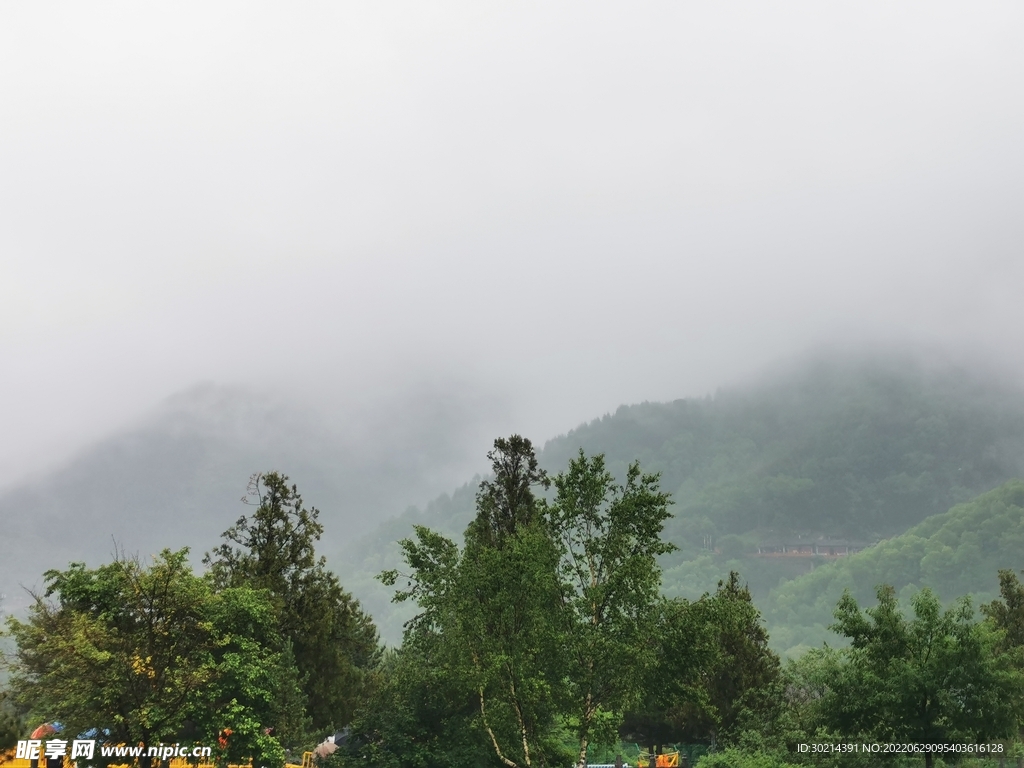 雨雾山林