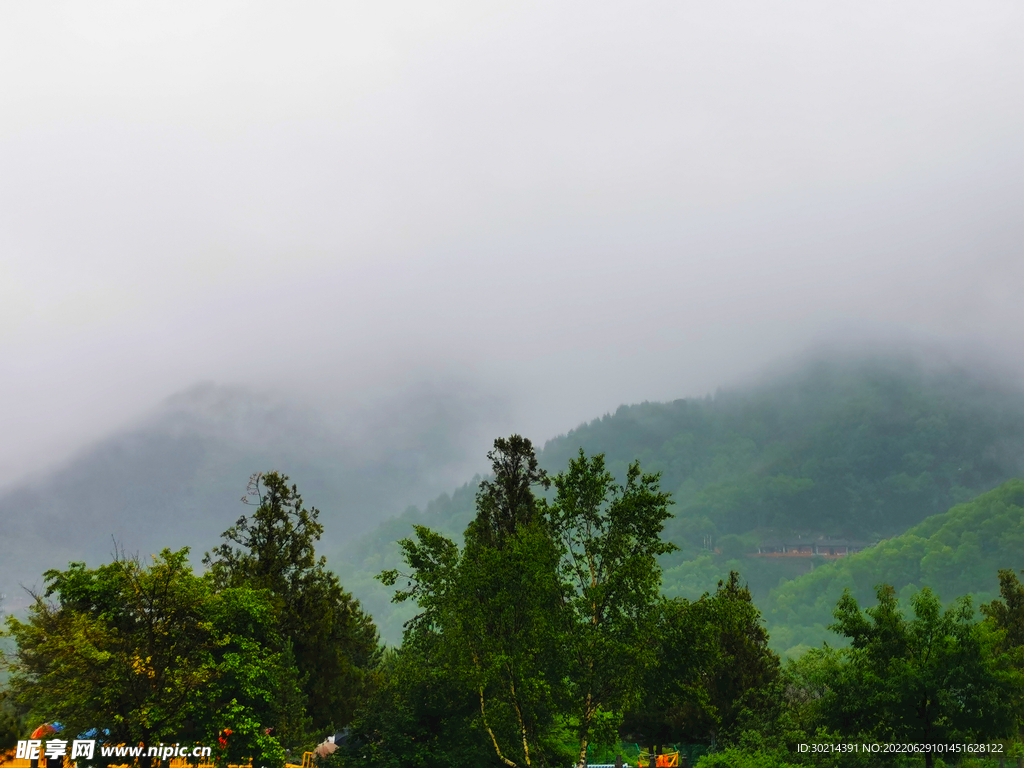 雨中山林