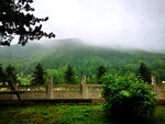 雨后山林