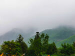 雨后山林