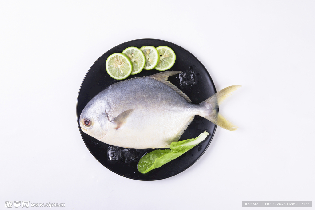 新鲜武昌鱼食材