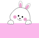 小兔子