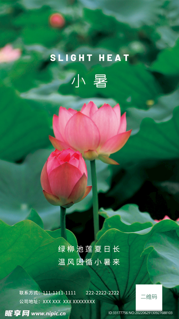 小暑海报