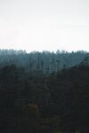 山