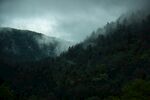 山