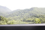青山 
