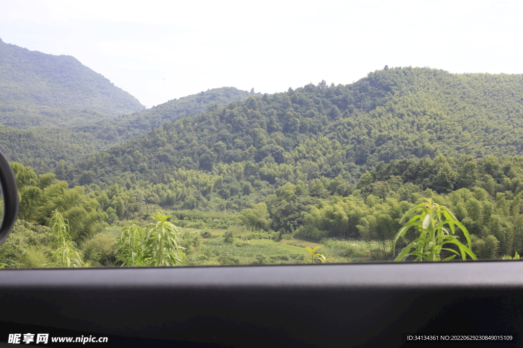 青山