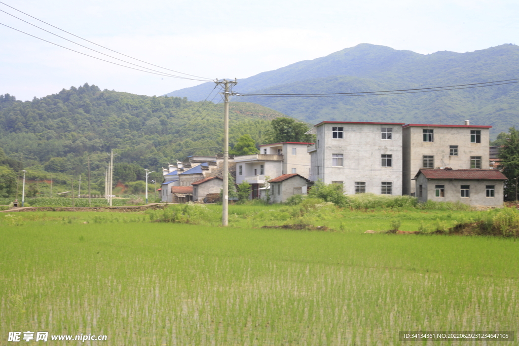 田园