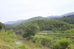 青山 