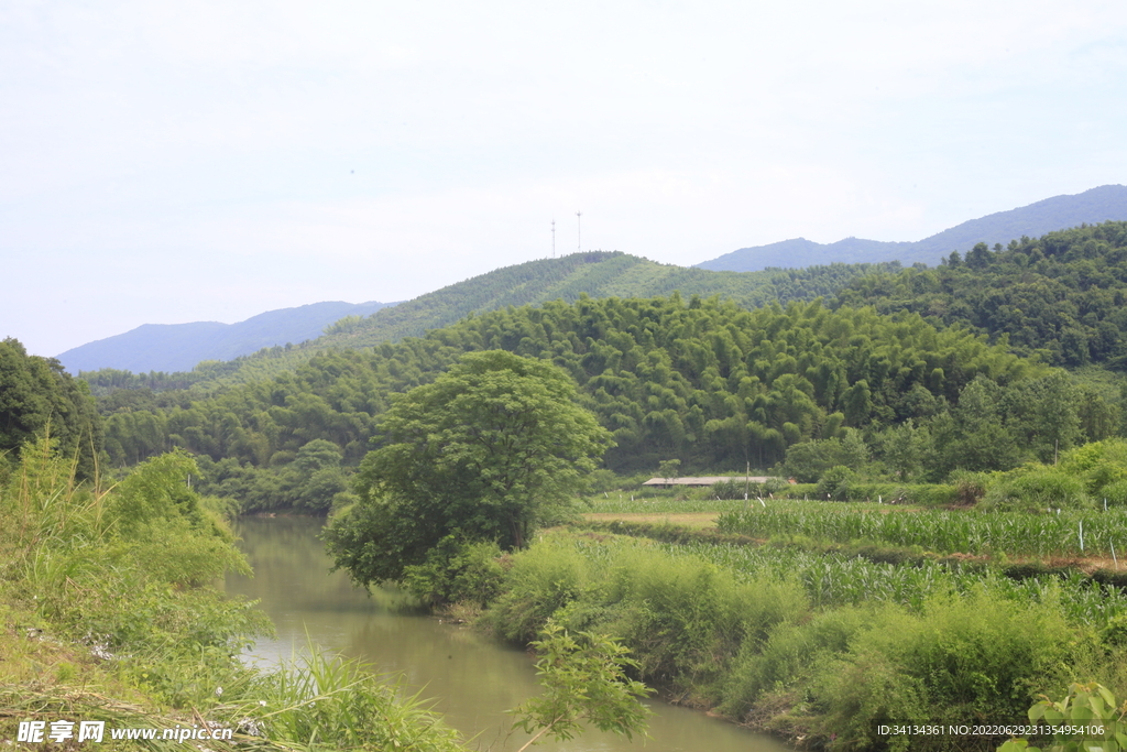 青山 