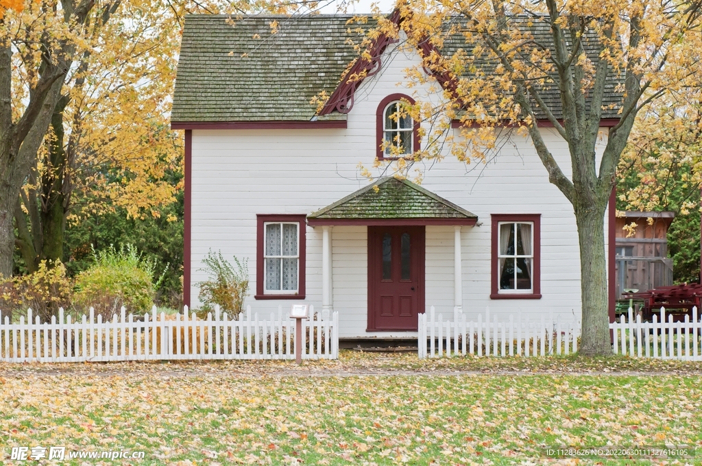 林中小屋摄影