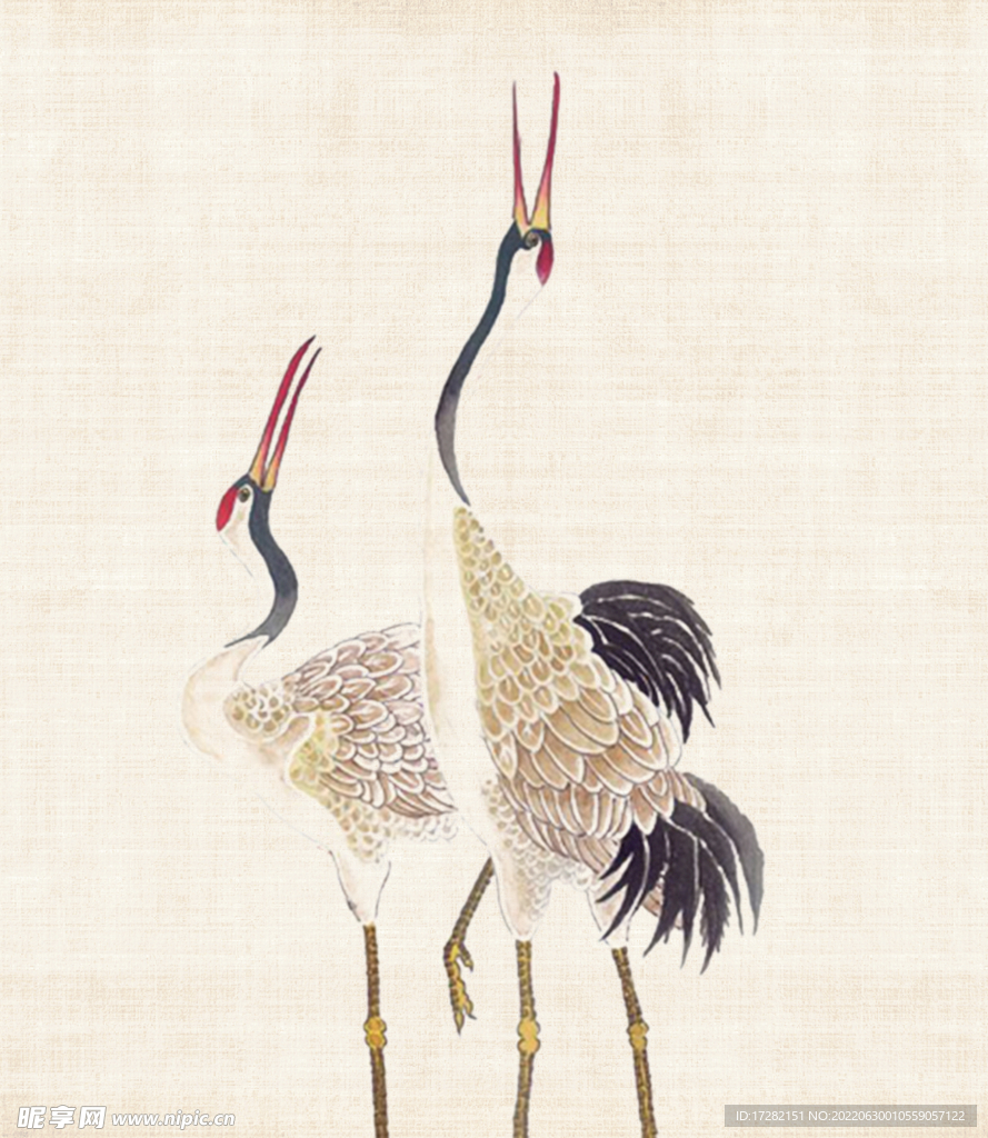 仙鹤      丹顶鹤    