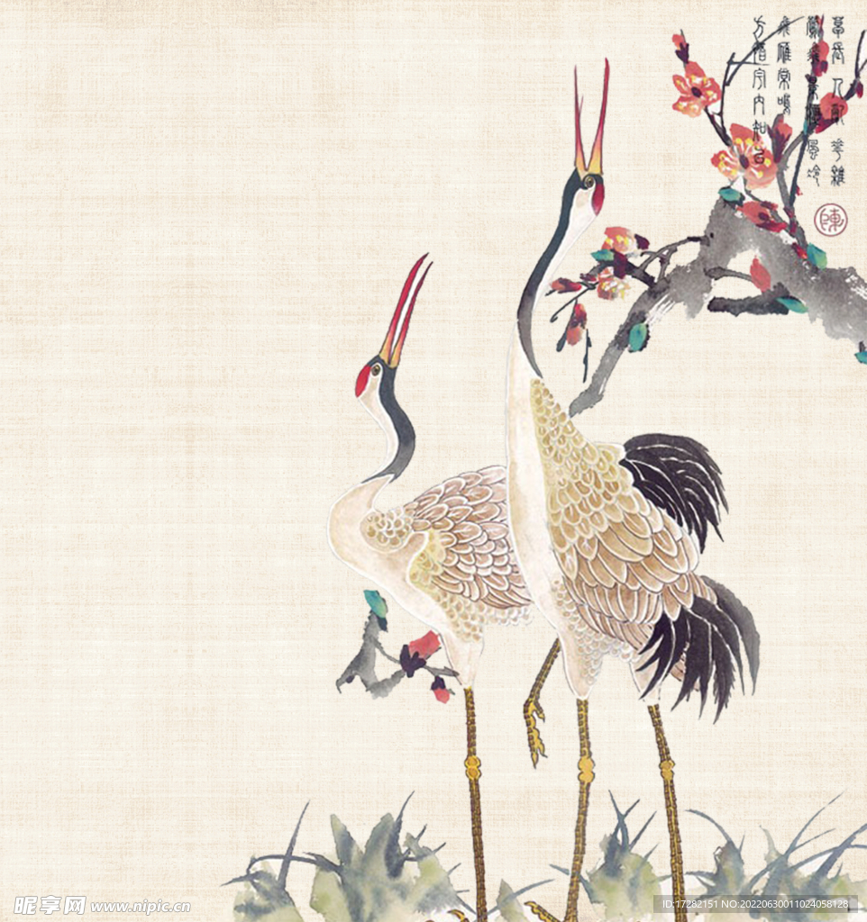 仙鹤      丹顶鹤    