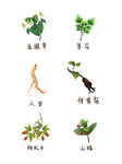 中药草本
