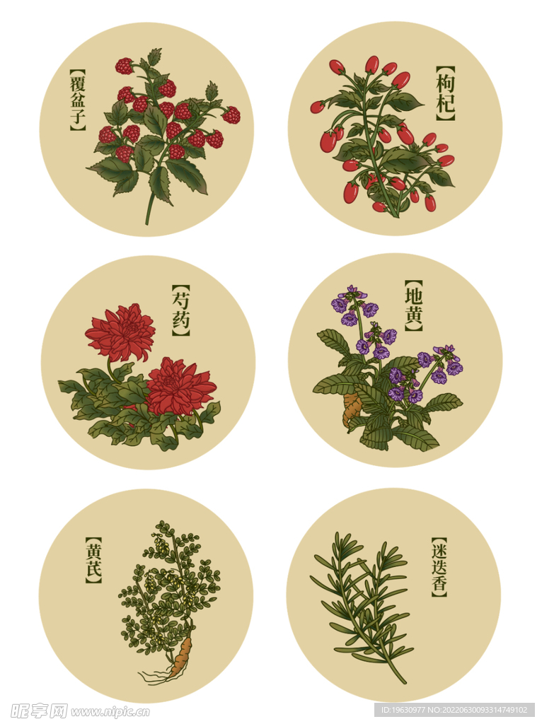 中药草本