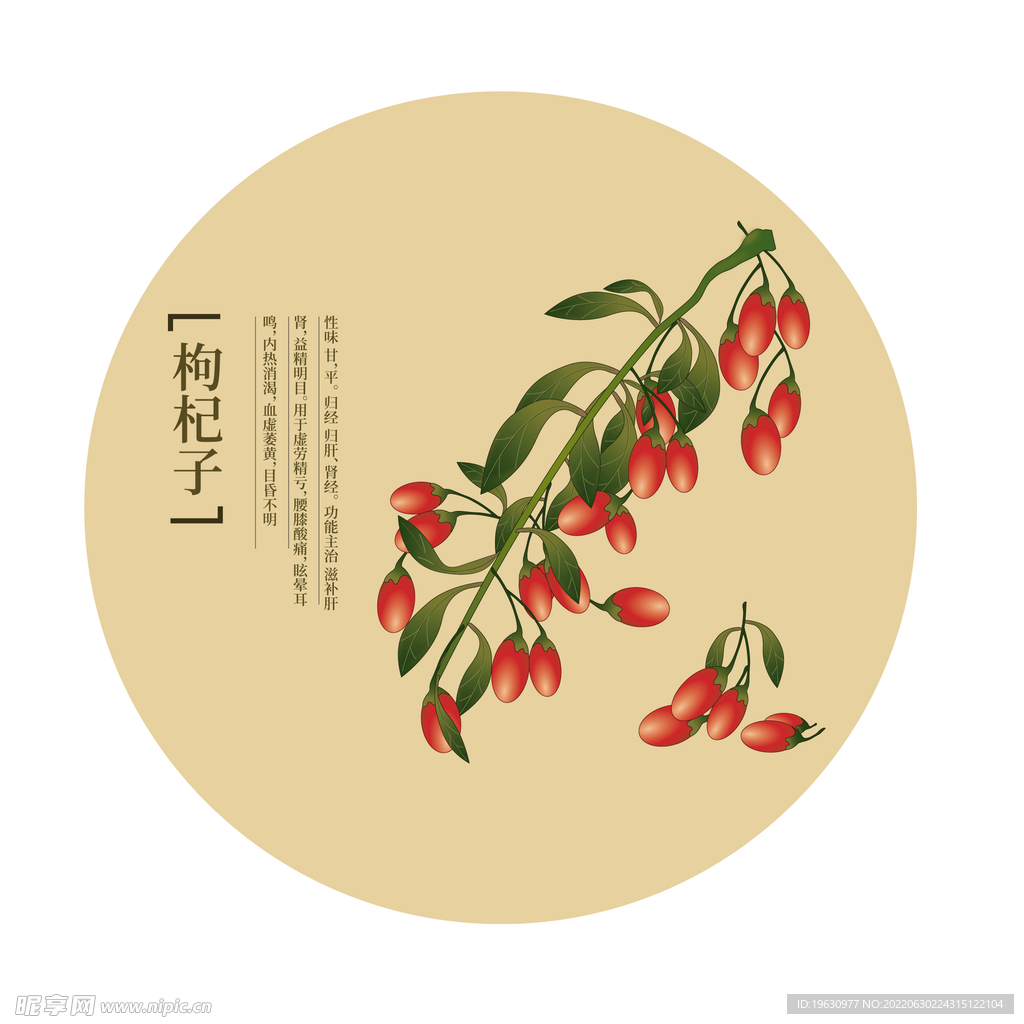 中药草本