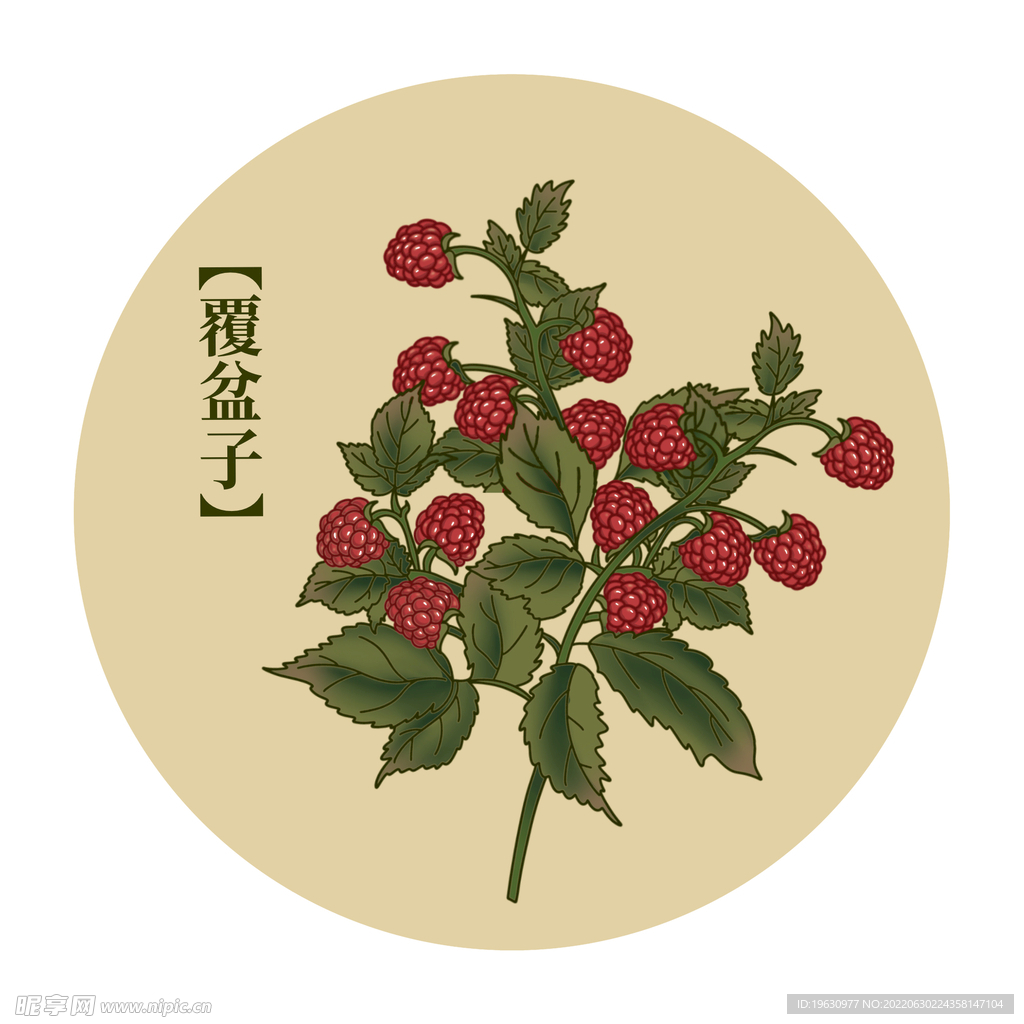 中药草本图鉴