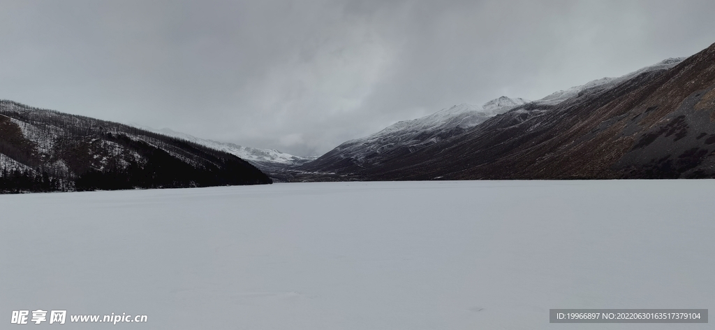 雪原 