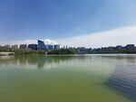 曲江池遗址公园