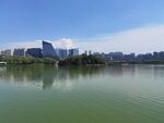 曲江池遗址公园