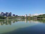曲江池遗址公园