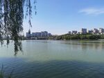 曲江池遗址公园