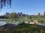 曲江池遗址公园