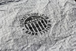 logo样机