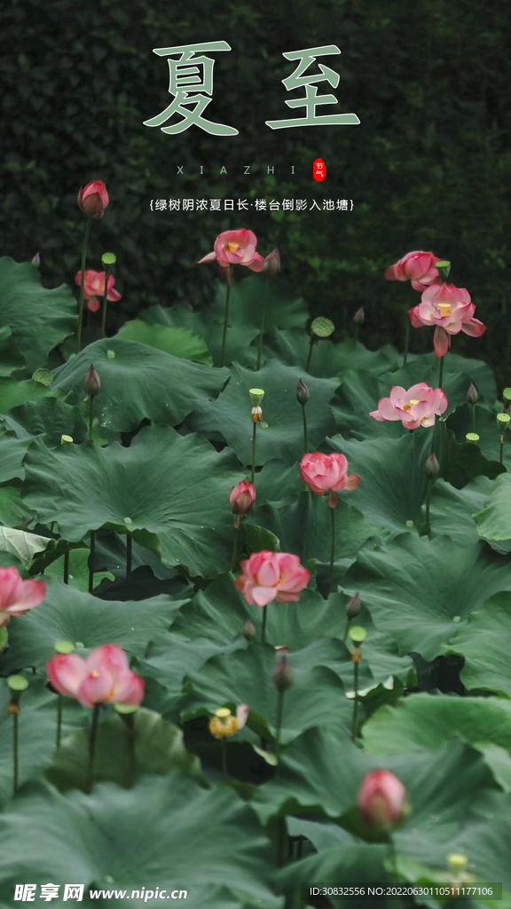 夏至
