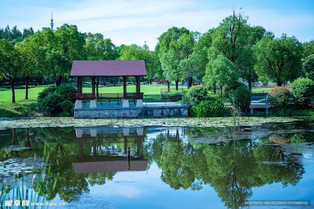  园林景观 湖水 公园一角 