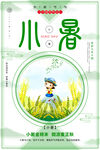 小暑二十四节气之创意海报