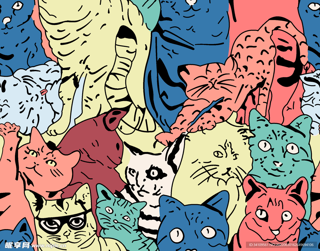猫