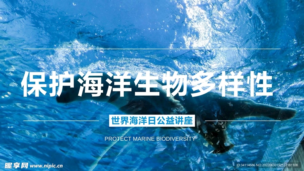 保护海洋生物世界公益讲座海报
