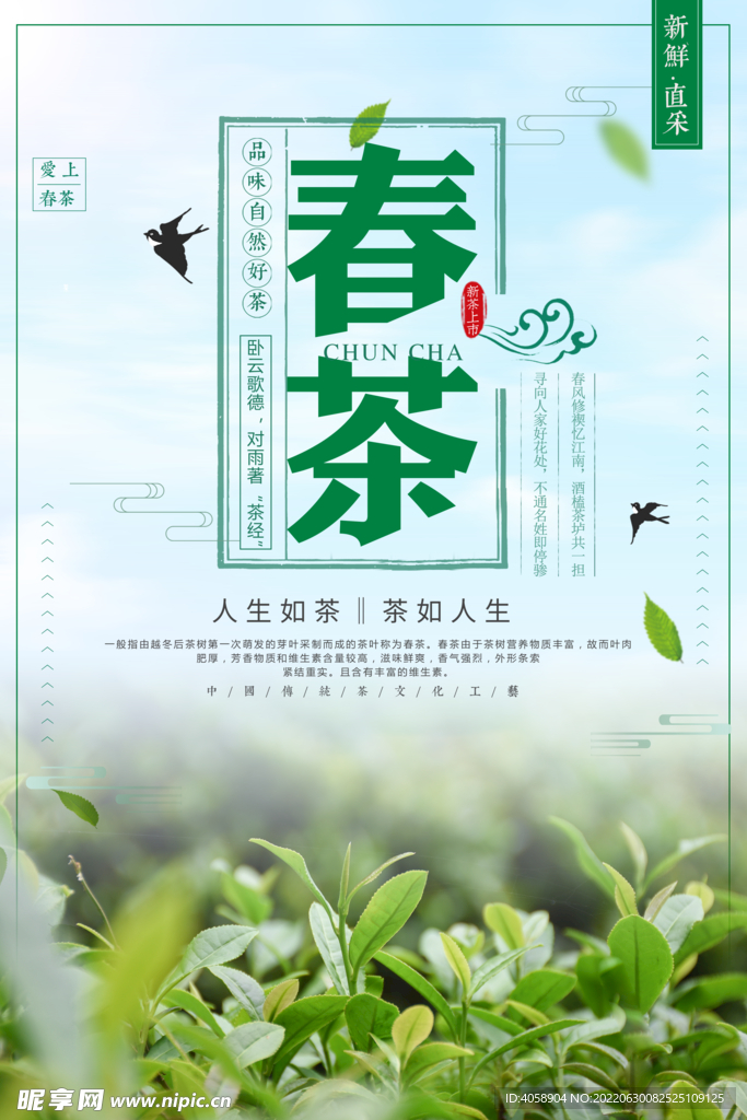 春茶