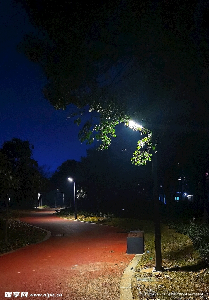 路灯下的夜景
