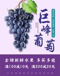 葡萄海报
