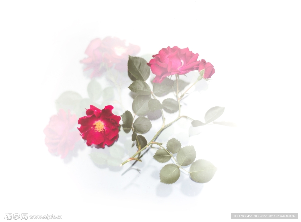 插花