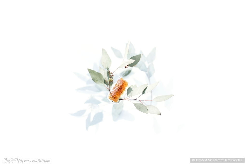 插花