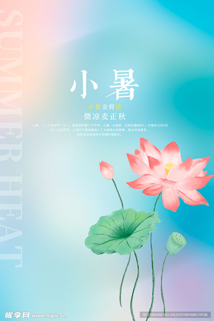 小暑节气小清新海报