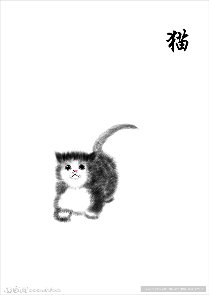 猫