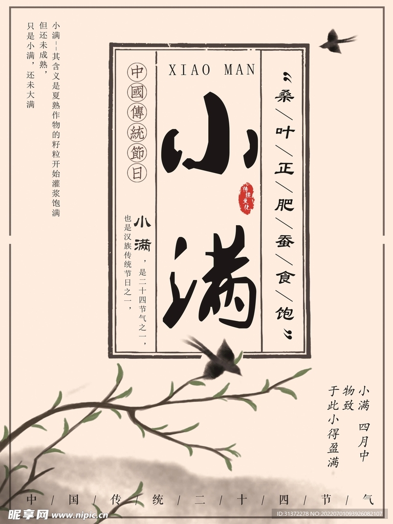 小满插画图片