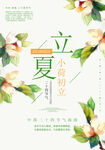 立夏插画图片