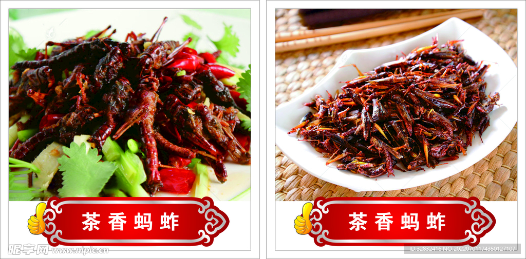 茶香蚂蚱