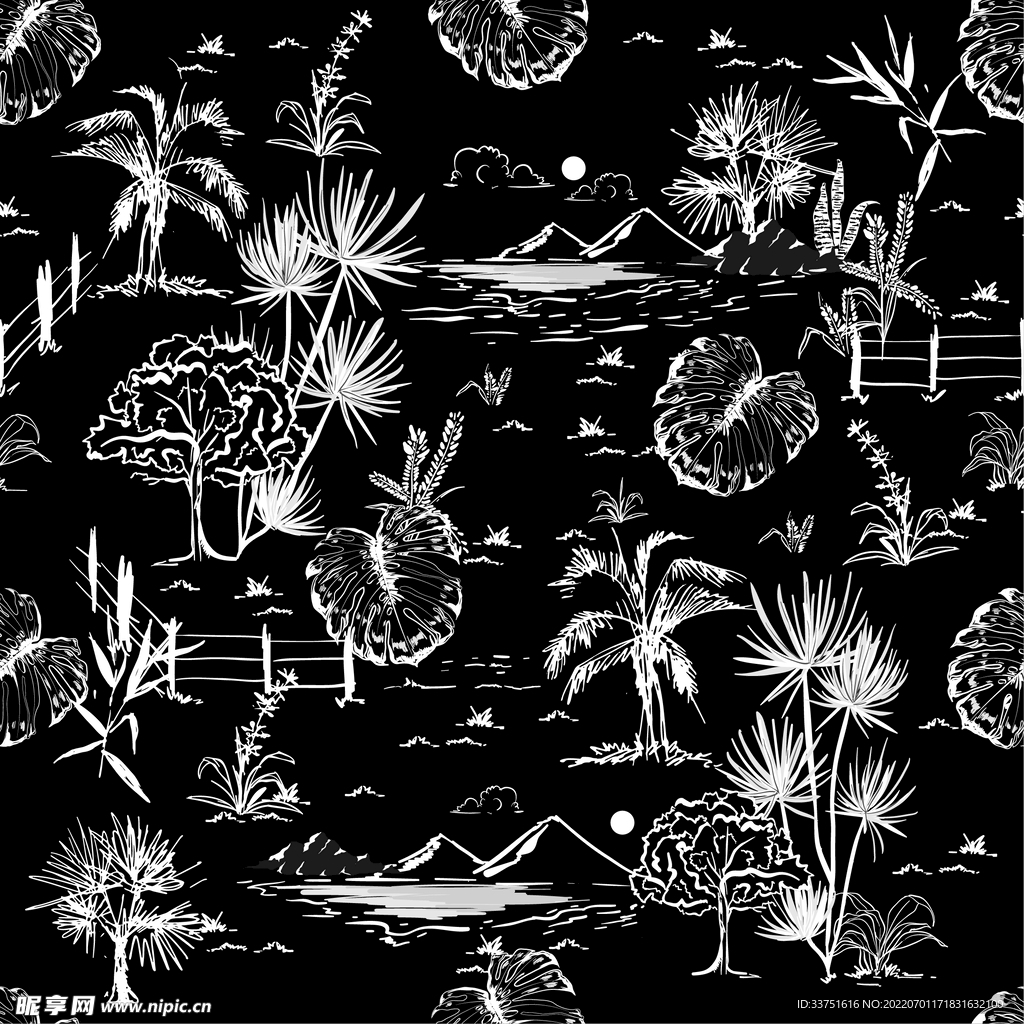 黑白插画
