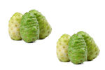 荠菜根