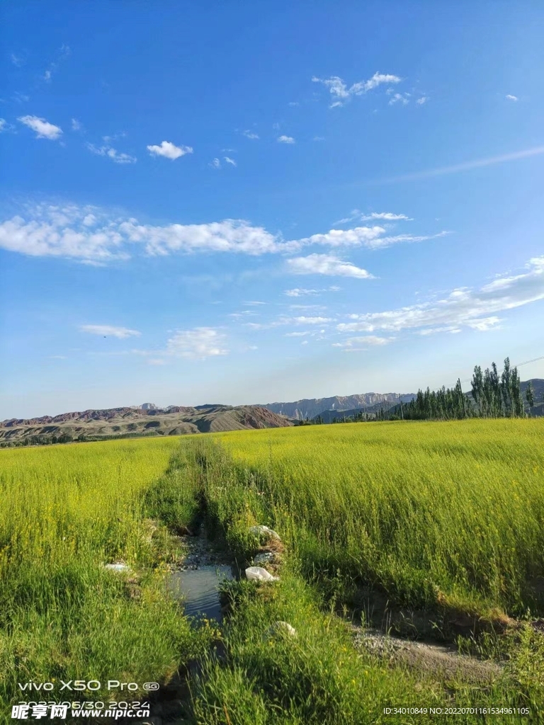 风景画