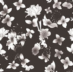 黑白花