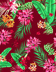 叶子花